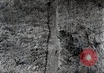 Immagine di A caccia di cervi Nikko Giappone, 1944, secondo 37 filmato di repertorio 65675024808