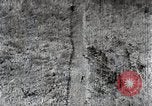 Immagine di A caccia di cervi Nikko Giappone, 1944, secondo 38 filmato di repertorio 65675024808
