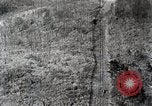 Immagine di A caccia di cervi Nikko Giappone, 1944, secondo 42 filmato di repertorio 65675024808