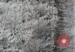 Immagine di A caccia di cervi Nikko Giappone, 1944, secondo 43 filmato di repertorio 65675024808