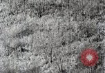 Immagine di A caccia di cervi Nikko Giappone, 1944, secondo 46 filmato di repertorio 65675024808
