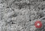 Immagine di A caccia di cervi Nikko Giappone, 1944, secondo 47 filmato di repertorio 65675024808