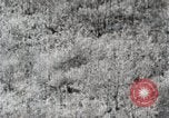Immagine di A caccia di cervi Nikko Giappone, 1944, secondo 48 filmato di repertorio 65675024808