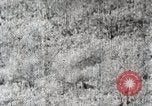 Immagine di A caccia di cervi Nikko Giappone, 1944, secondo 49 filmato di repertorio 65675024808