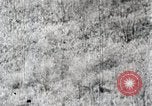 Immagine di A caccia di cervi Nikko Giappone, 1944, secondo 50 filmato di repertorio 65675024808