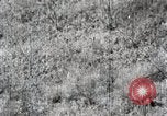 Immagine di A caccia di cervi Nikko Giappone, 1944, secondo 52 filmato di repertorio 65675024808