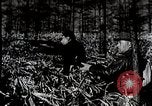 Immagine di A caccia di cervi Nikko Giappone, 1944, secondo 53 filmato di repertorio 65675024808