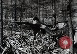 Immagine di A caccia di cervi Nikko Giappone, 1944, secondo 54 filmato di repertorio 65675024808