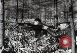 Immagine di A caccia di cervi Nikko Giappone, 1944, secondo 56 filmato di repertorio 65675024808