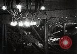 Image of Adolf Hitler Germany, 1944, second 40 stock footage video 65675024809