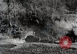 Image of coal Japan, 1944, second 23 stock footage video 65675024810