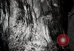 Image of coal Japan, 1944, second 30 stock footage video 65675024810