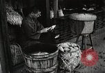 Image of sweet potatoes Japan, 1944, second 9 stock footage video 65675024811
