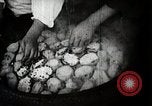 Image of sweet potatoes Japan, 1944, second 23 stock footage video 65675024811