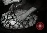 Image of sweet potatoes Japan, 1944, second 25 stock footage video 65675024811