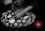 Image of sweet potatoes Japan, 1944, second 26 stock footage video 65675024811