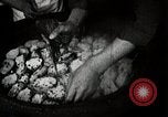 Image of sweet potatoes Japan, 1944, second 29 stock footage video 65675024811