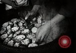 Image of sweet potatoes Japan, 1944, second 30 stock footage video 65675024811