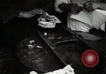 Image of sweet potatoes Japan, 1944, second 41 stock footage video 65675024811