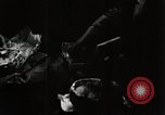 Image of sweet potatoes Japan, 1944, second 57 stock footage video 65675024811