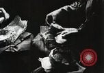 Image of sweet potatoes Japan, 1944, second 59 stock footage video 65675024811