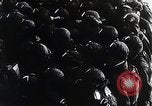Image of air attack Hawaii USA, 1941, second 57 stock footage video 65675024814