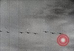 Standbild Animierte Karte anzeigen Weg der japanischen Bomber Java Meer, 1942, aus Sekunde 52 historischem Filmmaterial Videoclip 65675024829
