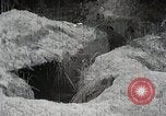 Immagine di Generale giapponese Mutaguchi Renya paga rispetti ai soldati caduti Singapore, 1942, secondo 32 filmato di repertorio 65675024830