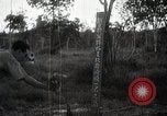 Immagine di Generale giapponese Mutaguchi Renya paga rispetti ai soldati caduti Singapore, 1942, secondo 39 filmato di repertorio 65675024830