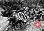 Image of Battle of Wuhan China Hankou China, 1938, second 62 stock footage video 65675024835
