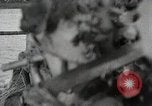 Immagine di Le truppe giapponesi Cina, 1944, secondo 36 filmato di repertorio 65675024841