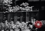 Image of Imperial Palace Japan, 1937, second 31 stock footage video 65675024843