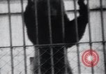 Image of Tokyo Zoo Tokyo Japan, 1937, second 39 stock footage video 65675024844