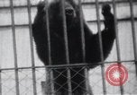 Image of Tokyo Zoo Tokyo Japan, 1937, second 40 stock footage video 65675024844