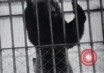 Image of Tokyo Zoo Tokyo Japan, 1937, second 41 stock footage video 65675024844