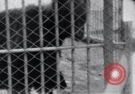 Image of Tokyo Zoo Tokyo Japan, 1937, second 51 stock footage video 65675024844