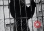 Image of Tokyo Zoo Tokyo Japan, 1937, second 53 stock footage video 65675024844