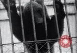 Image of Tokyo Zoo Tokyo Japan, 1937, second 54 stock footage video 65675024844