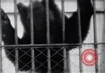 Image of Tokyo Zoo Tokyo Japan, 1937, second 55 stock footage video 65675024844