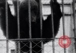Image of Tokyo Zoo Tokyo Japan, 1937, second 56 stock footage video 65675024844
