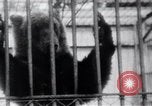 Image of Tokyo Zoo Tokyo Japan, 1937, second 58 stock footage video 65675024844