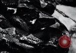 Image of Tokyo Zoo Tokyo Japan, 1937, second 60 stock footage video 65675024844