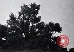 Standbild westliche Touristen Japan, 1937, aus Sekunde 46 historischem Filmmaterial Videoclip 65675024847