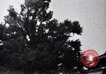 Standbild westliche Touristen Japan, 1937, aus Sekunde 47 historischem Filmmaterial Videoclip 65675024847