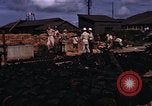 Image of rifles and combat equipment Japan, 1945, second 15 stock footage video 65675024854