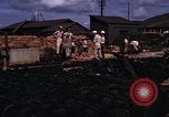 Image of rifles and combat equipment Japan, 1945, second 19 stock footage video 65675024854