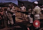 Image of rifles and combat equipment Japan, 1945, second 23 stock footage video 65675024854