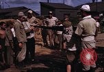 Image of rifles and combat equipment Japan, 1945, second 24 stock footage video 65675024854