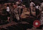 Image of rifles and combat equipment Japan, 1945, second 26 stock footage video 65675024854