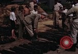 Image of rifles and combat equipment Japan, 1945, second 27 stock footage video 65675024854